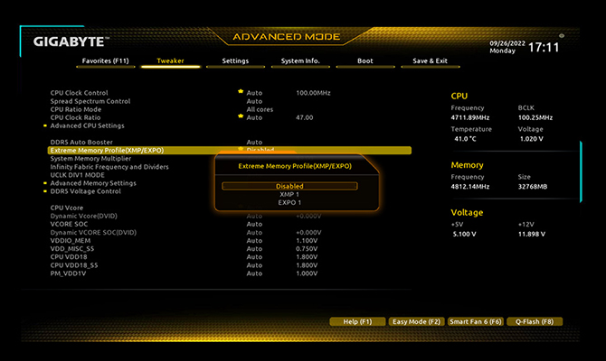 EXPO and XMP Dual Support